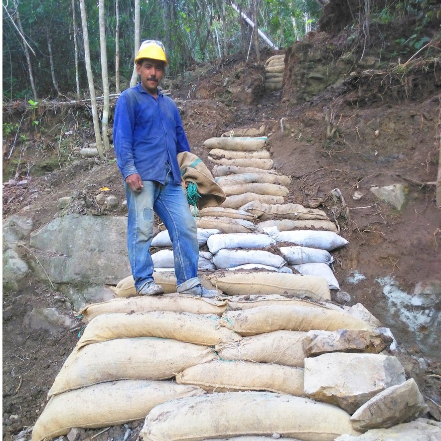 obras-de-bioingenieria